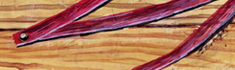 Ribbon and Wood grain - Oil painting